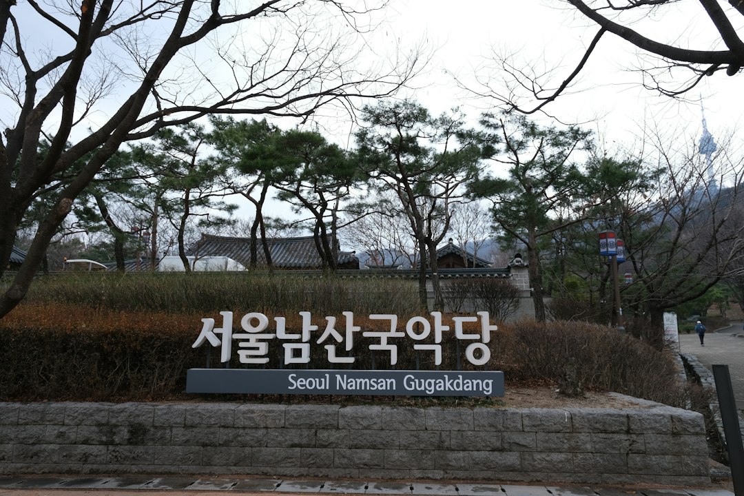 중고렌트카 참고 이미지 2