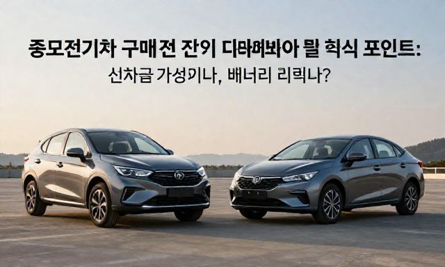 중고전기차 관련 대표 이미지